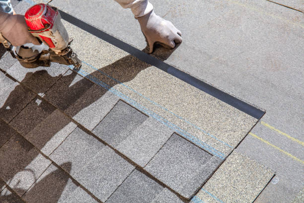 Best Shingle Roofing Installation  in Sisseton, SD