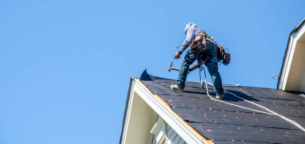 Best Roof Waterproofing Services  in Sisseton, SD
